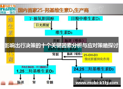影响出行决策的十个关键因素分析与应对策略探讨