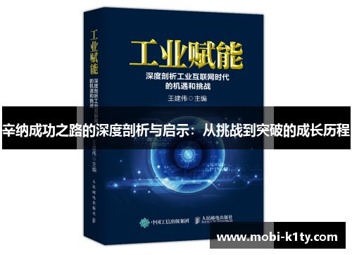 辛纳成功之路的深度剖析与启示：从挑战到突破的成长历程