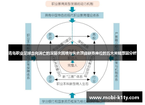 青岛职业足球走向消亡的深层次困境与失去顶级联赛席位的五大关键原因分析 青岛职业足球走向消亡的深层次困境与失去顶级联赛席位的五大关键原因分析