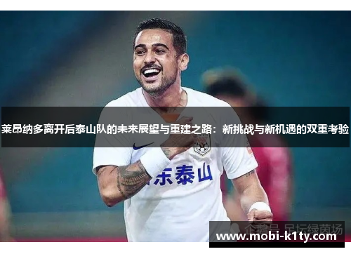 莱昂纳多离开后泰山队的未来展望与重建之路：新挑战与新机遇的双重考验