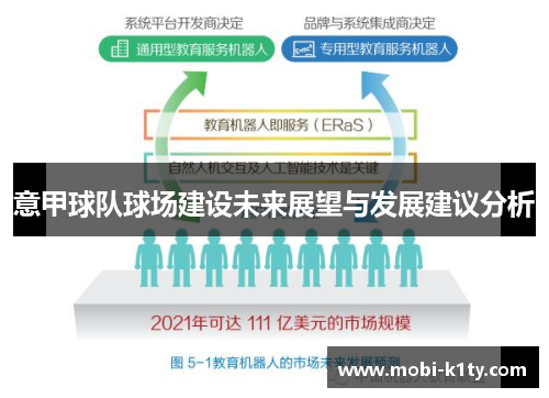 意甲球队球场建设未来展望与发展建议分析